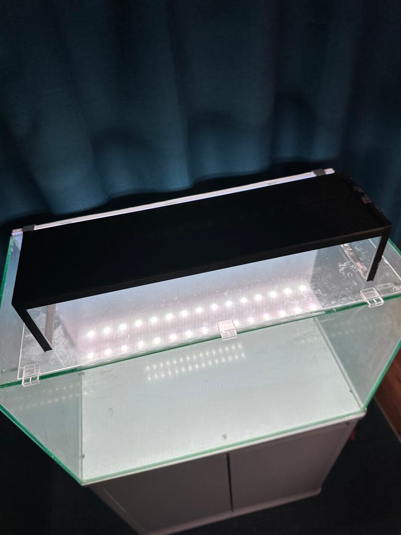 【引き取り限定】　60センチ　ガラス　水槽　　セット