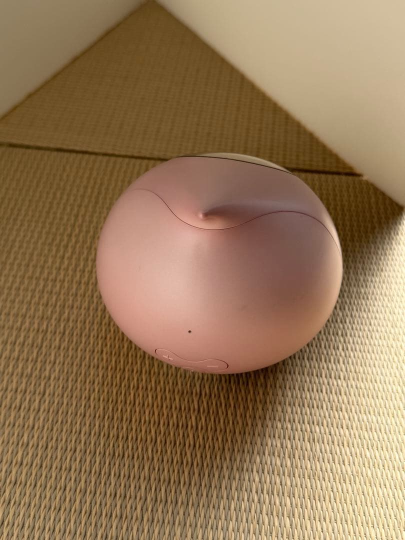 ロミイ本体