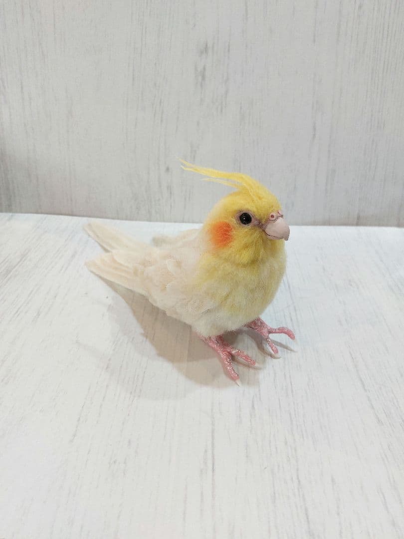 羊毛フェルト　　オカメインコ