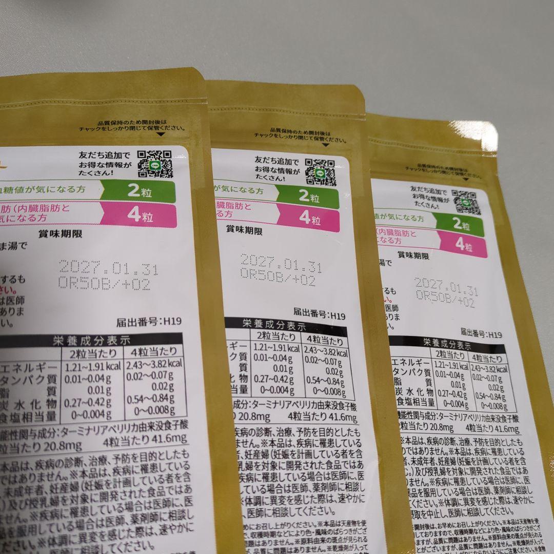 ターミナリアスリム＋ 120錠×3