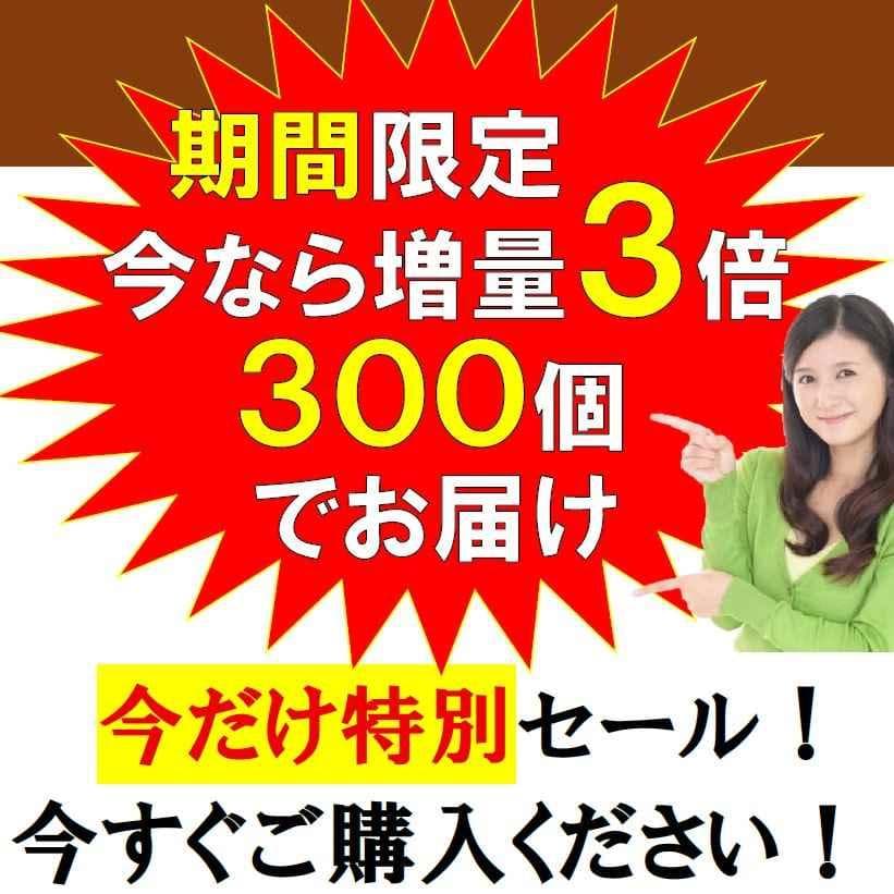 お風呂用　ゲルマニウム粒　300個　肩こり　プチシルマ　エレキバン　入浴剤2