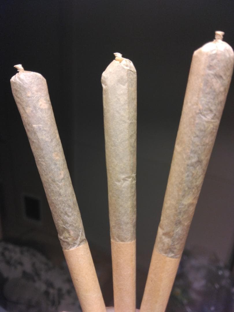 5本H4CBH joint / Made with Organic Mint