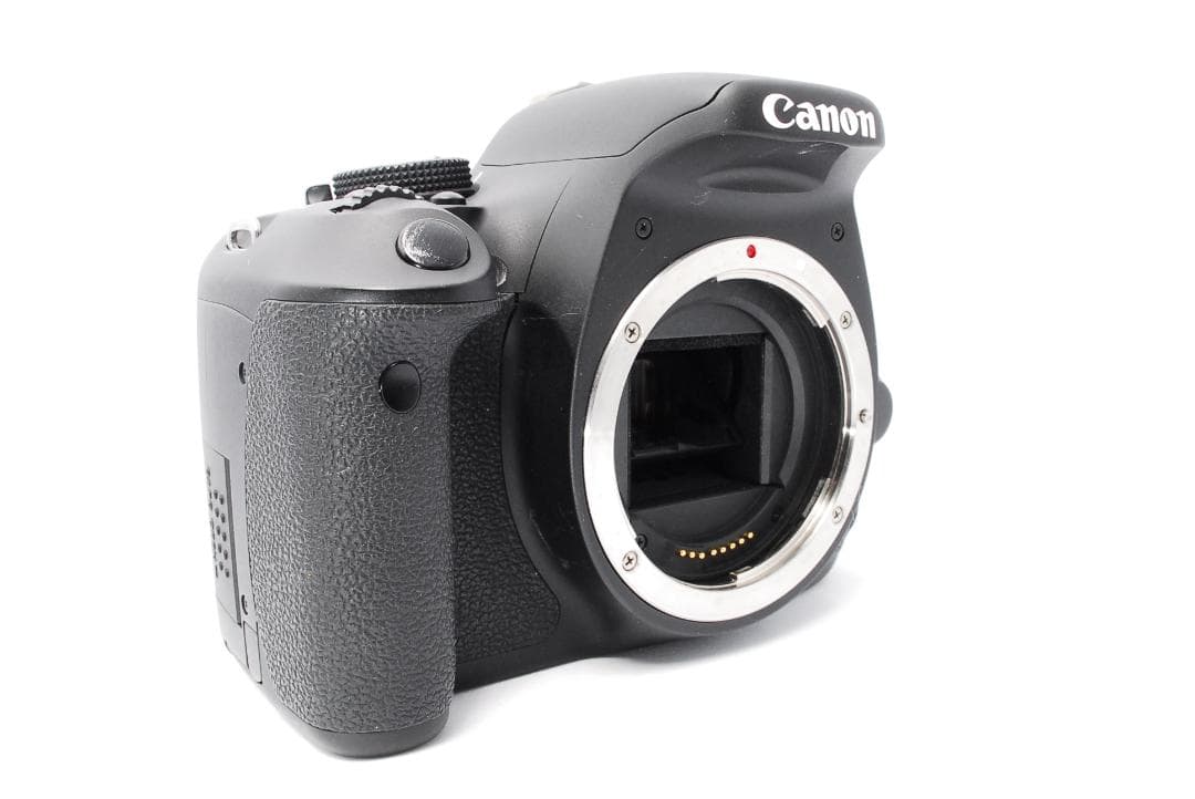 Canon kiss X5 一眼レフ☆超望遠付きWレンズ☆近くも遠くも撮影OK！