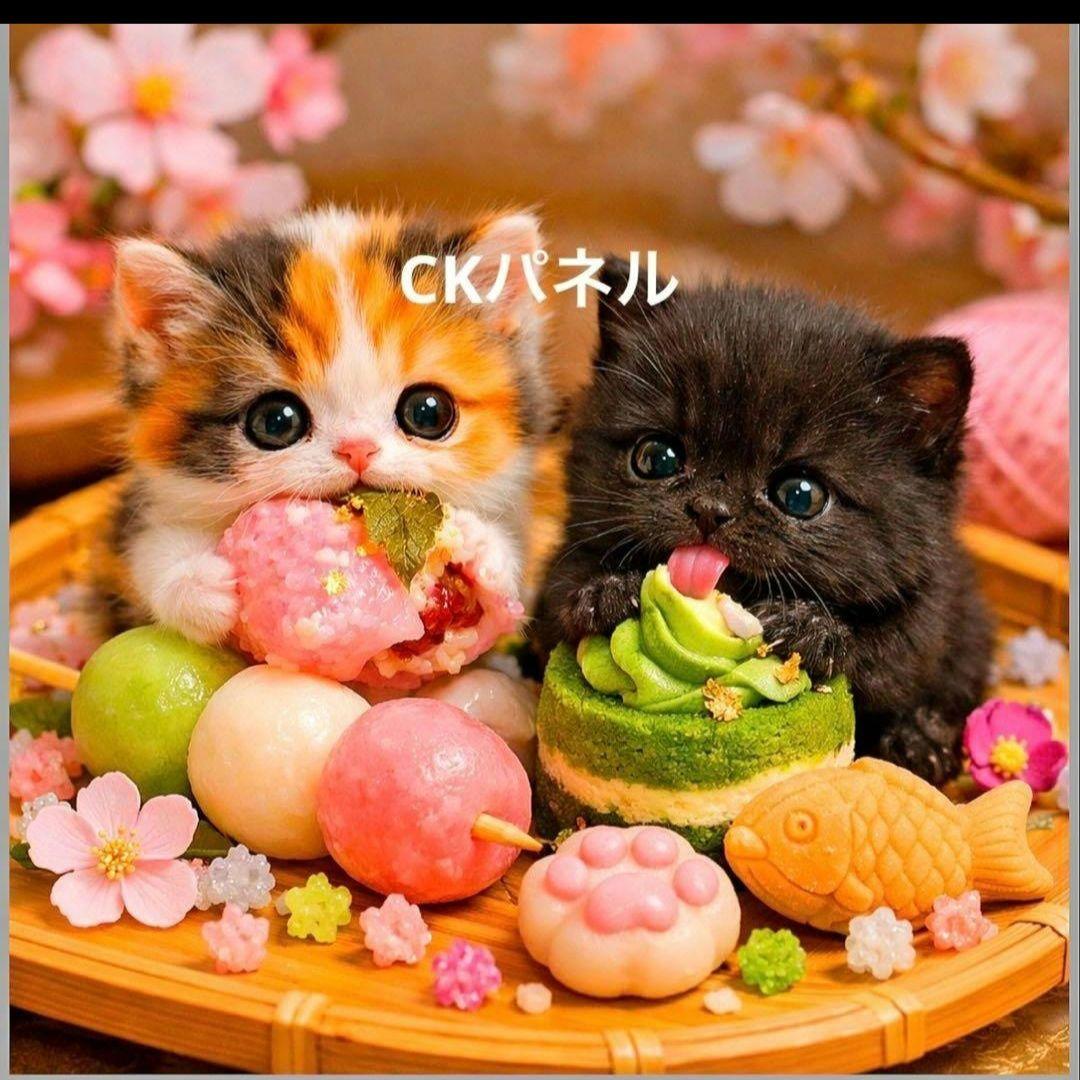 激レア柴犬、ねこちゃんパネル生地　ハンドメイド