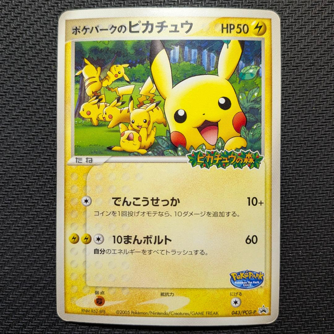 CHOKO専用！　ポケパークのピカチュウ
