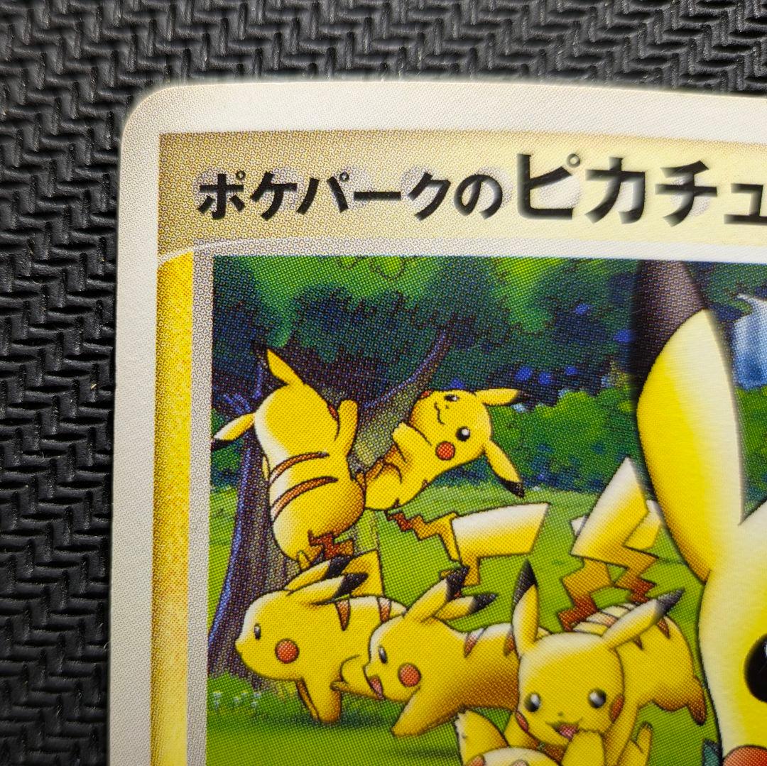 CHOKO専用！　ポケパークのピカチュウ