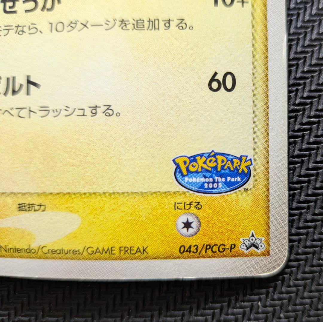 CHOKO専用！　ポケパークのピカチュウ