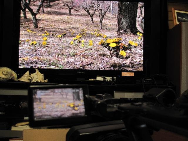 SONY HVR-Z7J 美品！標準レンズ＆ワイドレンズVCL-308BWH 付
