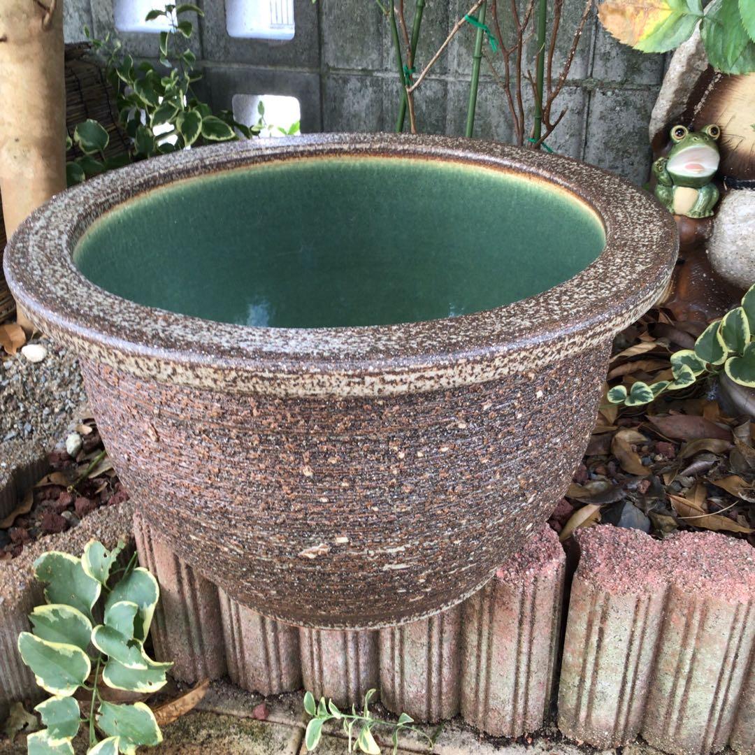 信楽焼　めだか鉢　睡蓮鉢　39cm