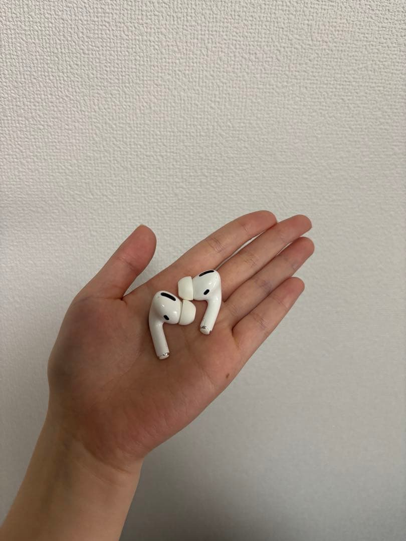AirPods pro 本体のみ