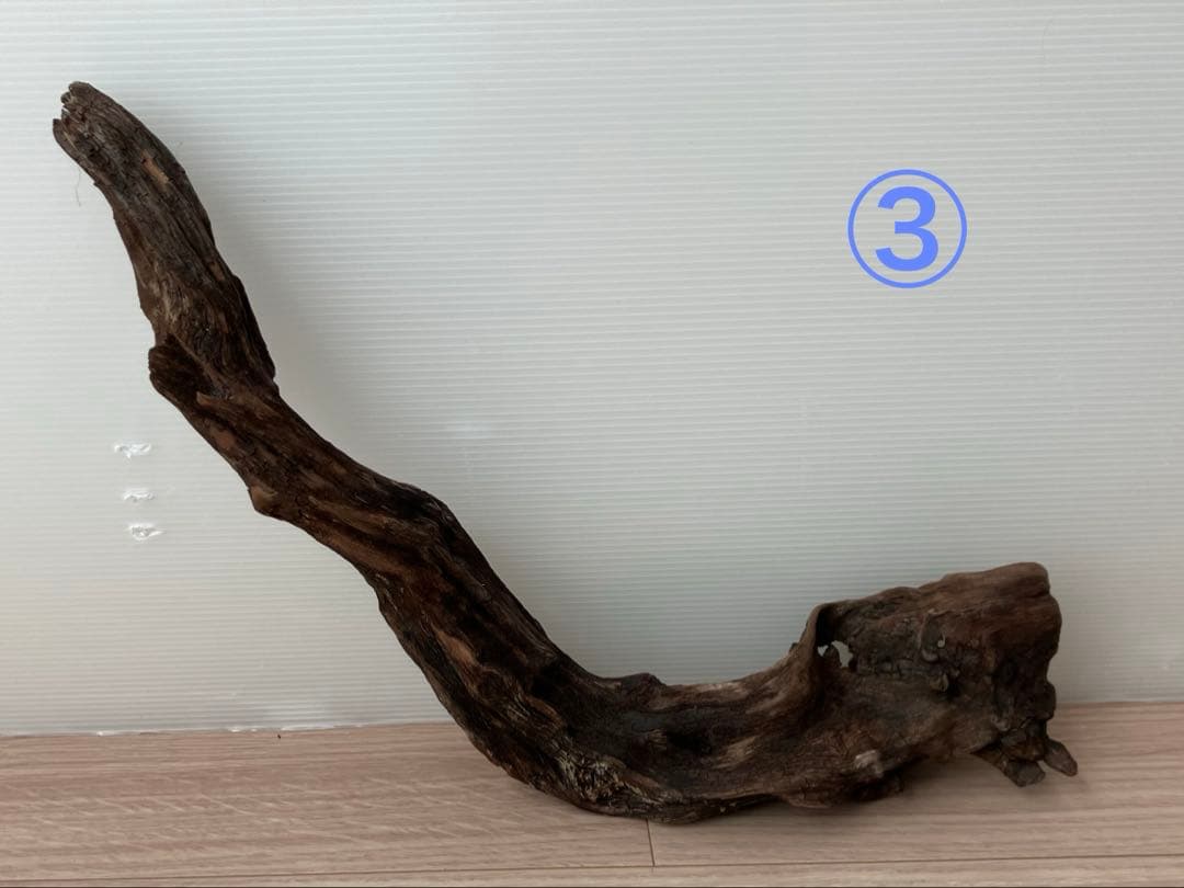 大型流木 3本セット