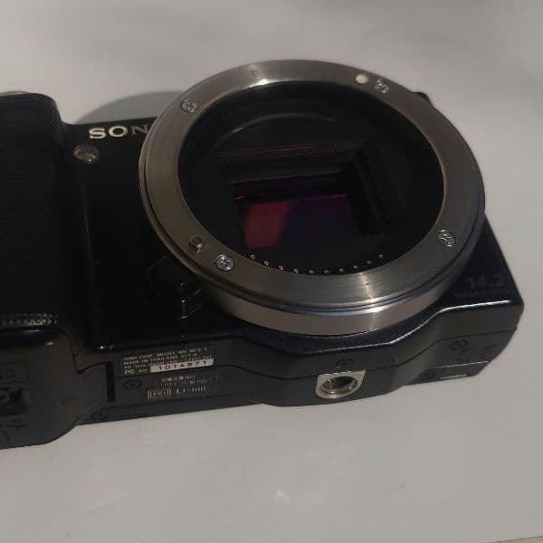 sony nex-5＋sonyE55〜210mmF4.5〜6.3OSS