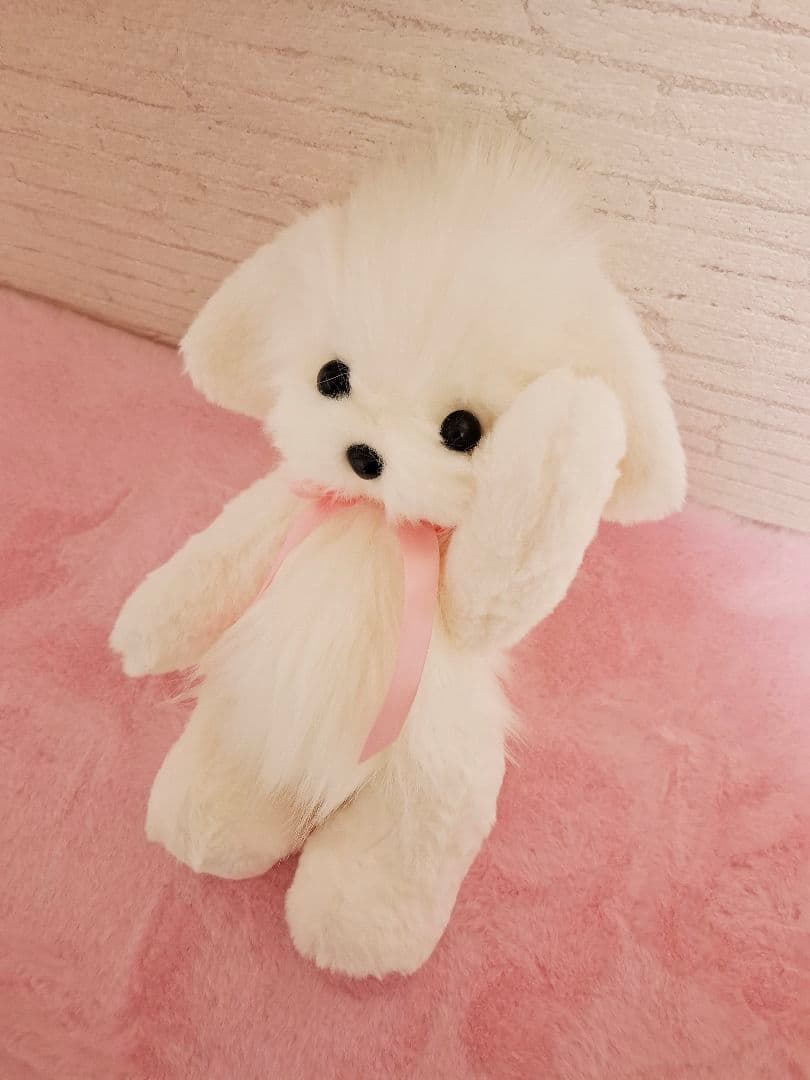 1.ぬいぐるみ、テディマルチーズ、犬、ハンドメイド、オリジナル、白