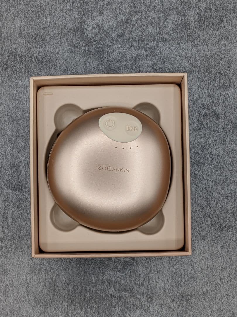 【極美品・定価14300円】ゾーガンキンスカルプ ZOGANKIN SCALP