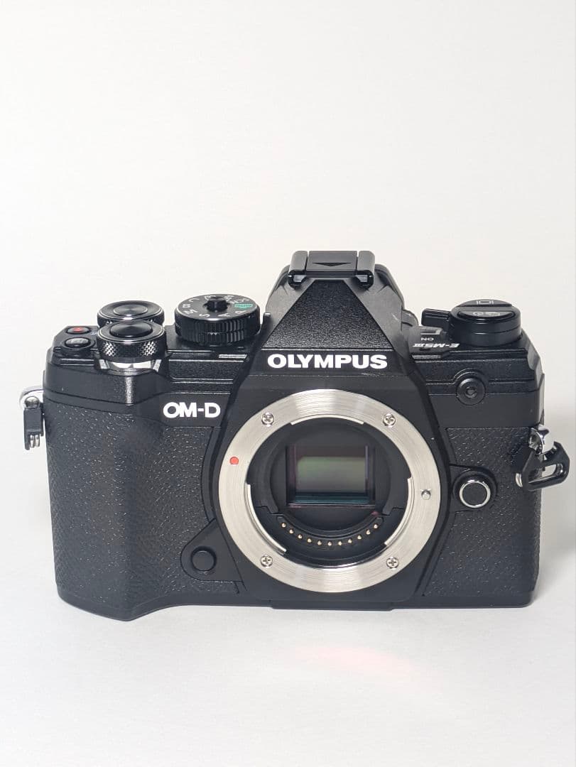 【美品】OLYMPUS OM-D E-M5 Mark Ⅲ ブラック 本体