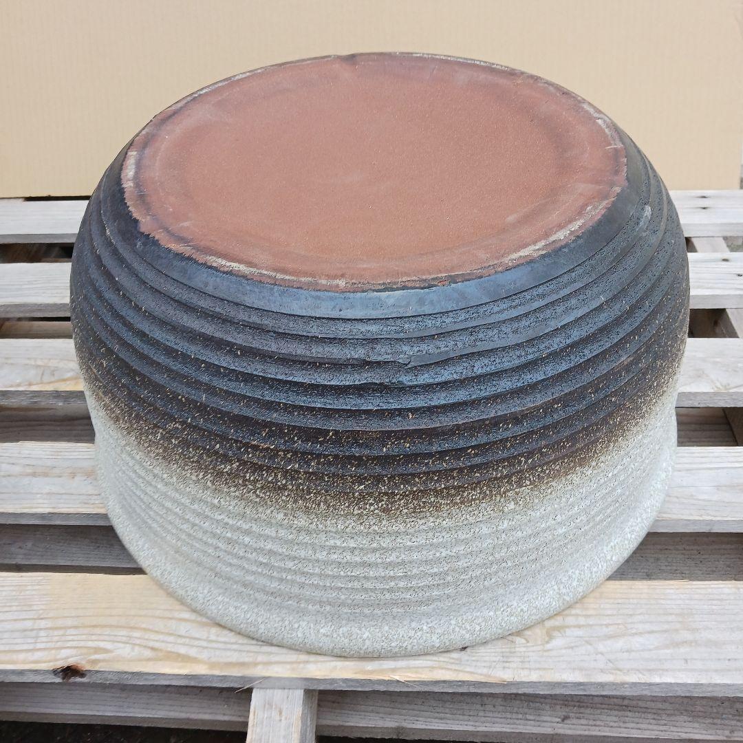 新品　∅50　陶器　睡蓮鉢　特大　難有　メダカ鉢　白　ホワイト　ルーバー　LWH