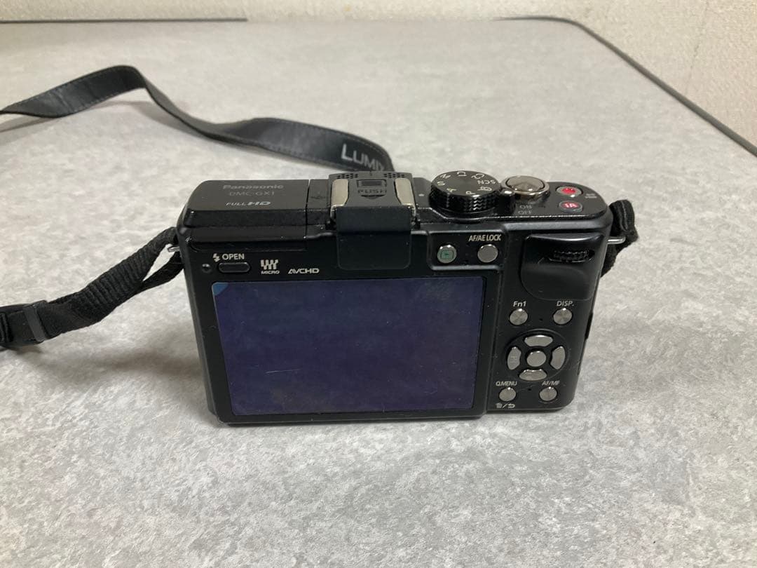 LUMIX GX1 本体 バッテリー 充電器付き