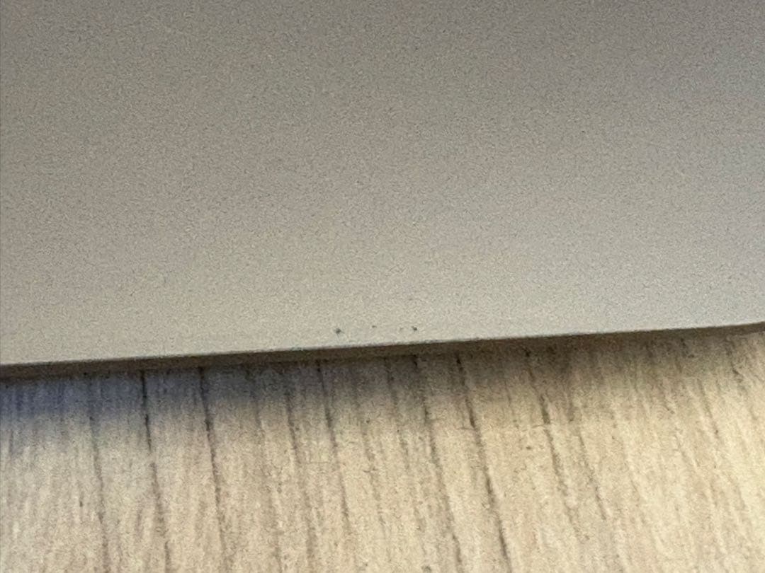 【美品】Apple MacBook Air (M1 2020)