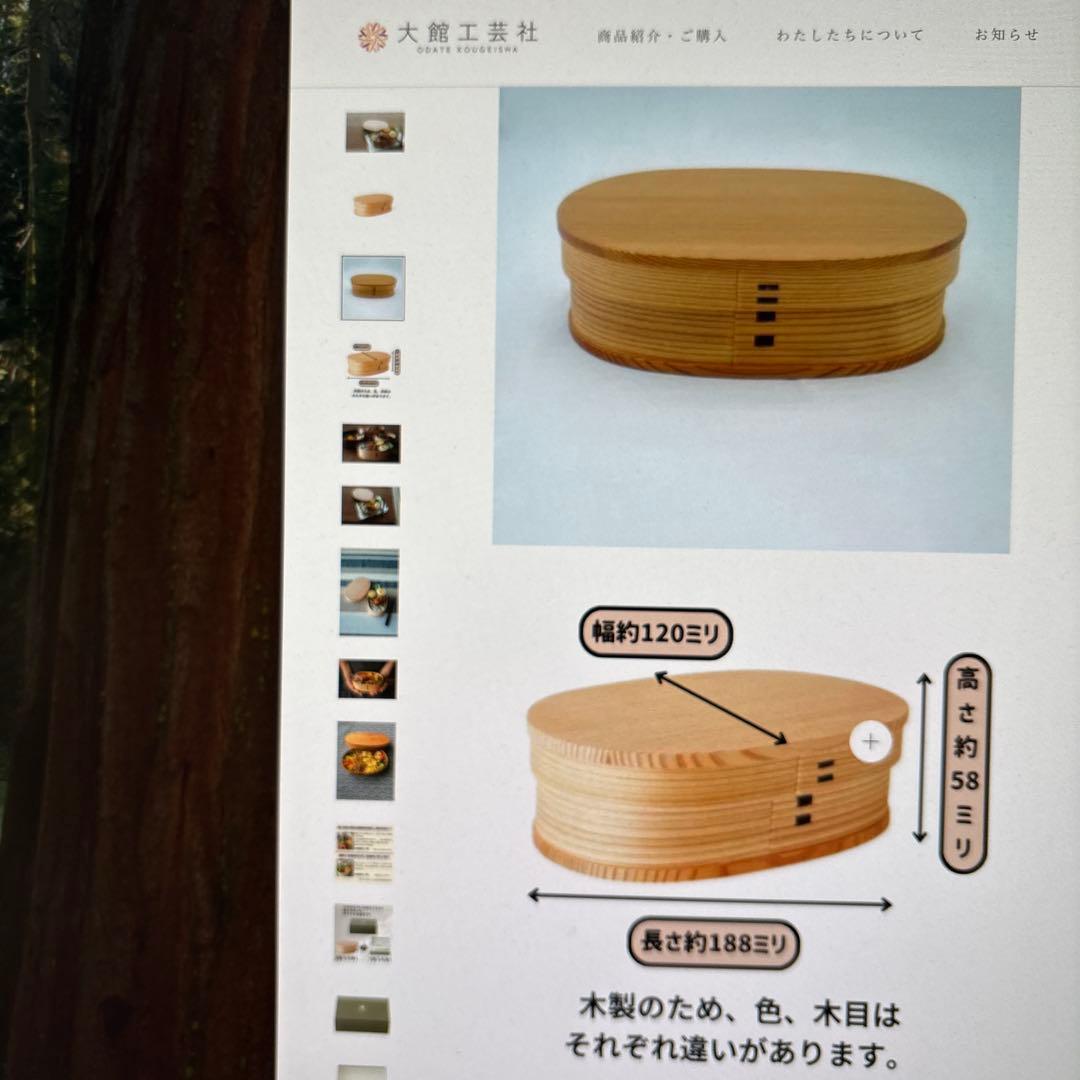 大館工芸社曲げわっぱ弁当.小判弁当箱（中）1回のみ使用美品リゾナーレトレイ付