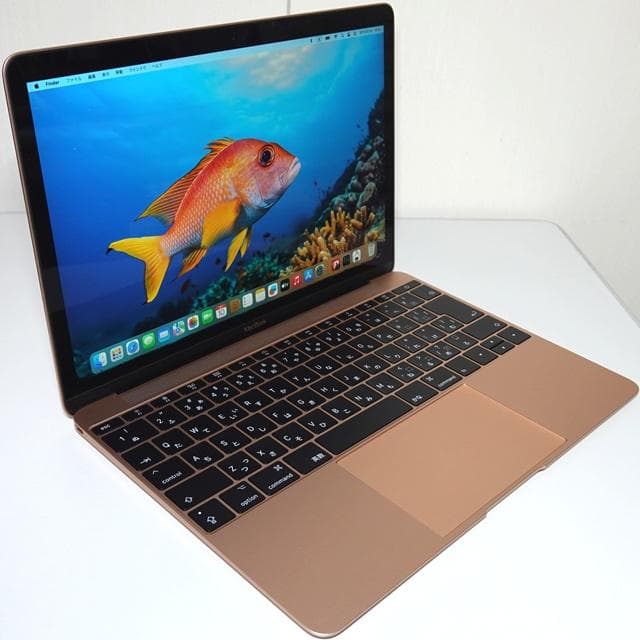 【美品】MacBook 2017 i5/8GB/512GB_GLD