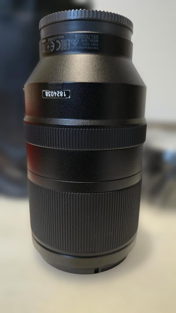 その他 SONY FE 70-300mm F4.5-5.6 G OSS