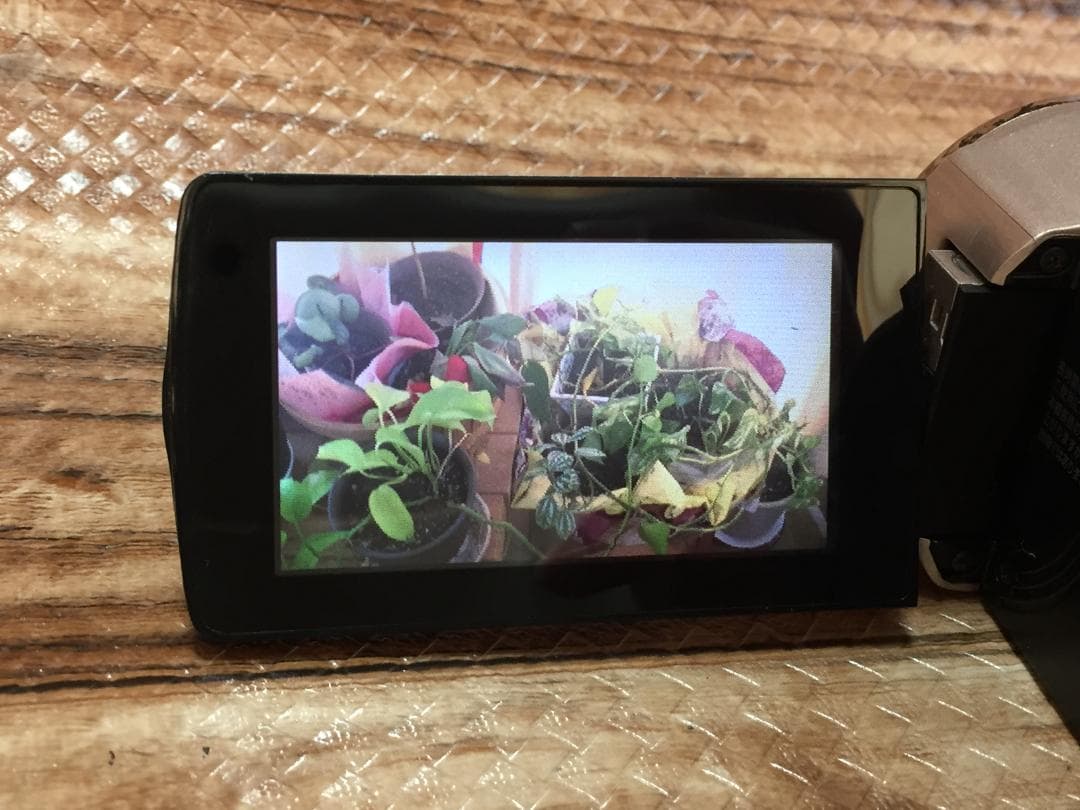 撮影画像あり　JVC　GZ-HM670　付属品あり　光学40倍　FULLHD