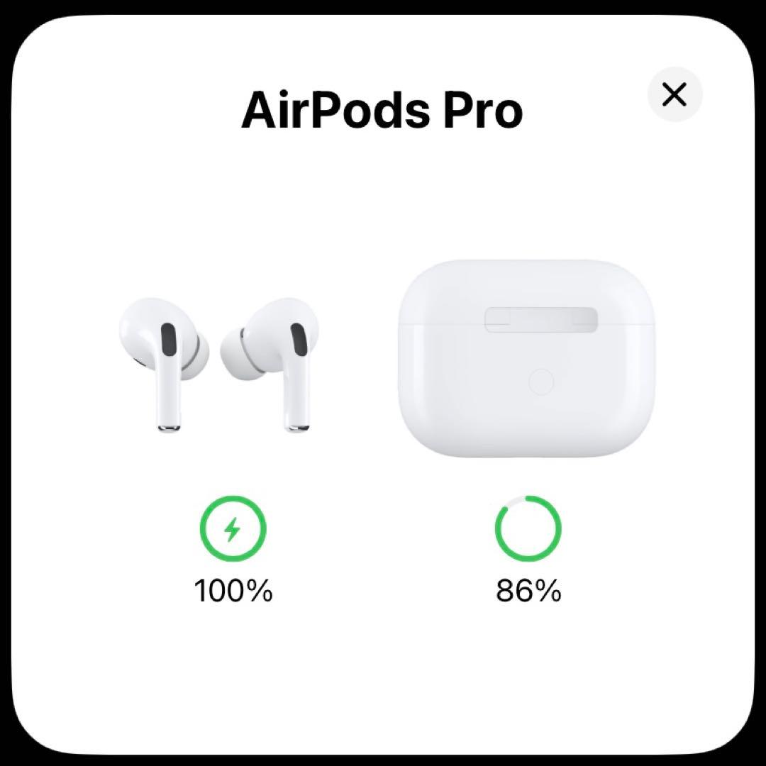 AirPods Pro 第1世代　左右イヤホン+充電ケース+カバー