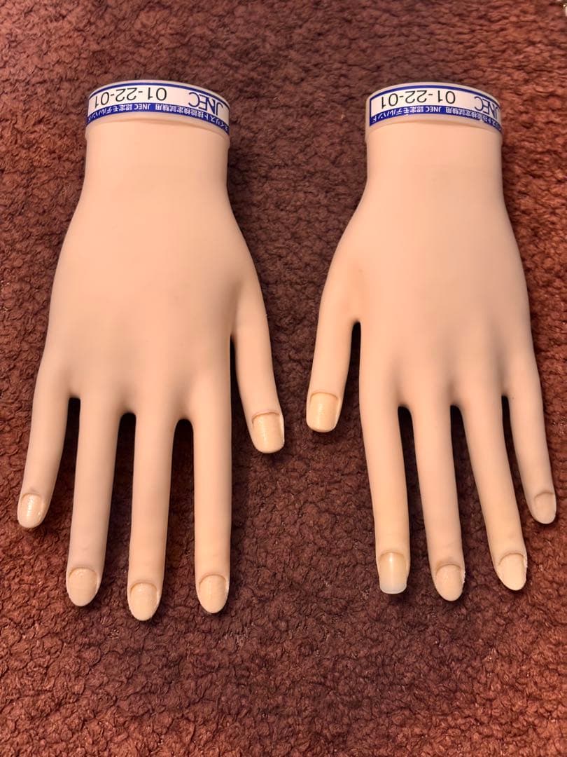 検定用ハンドモデル