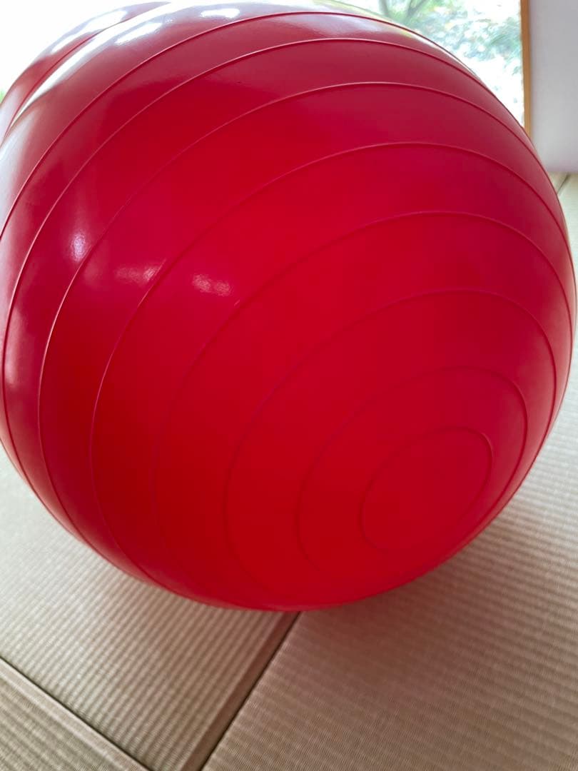 Gymnic PhysioRoll ギムニク フィジオロール 40cm