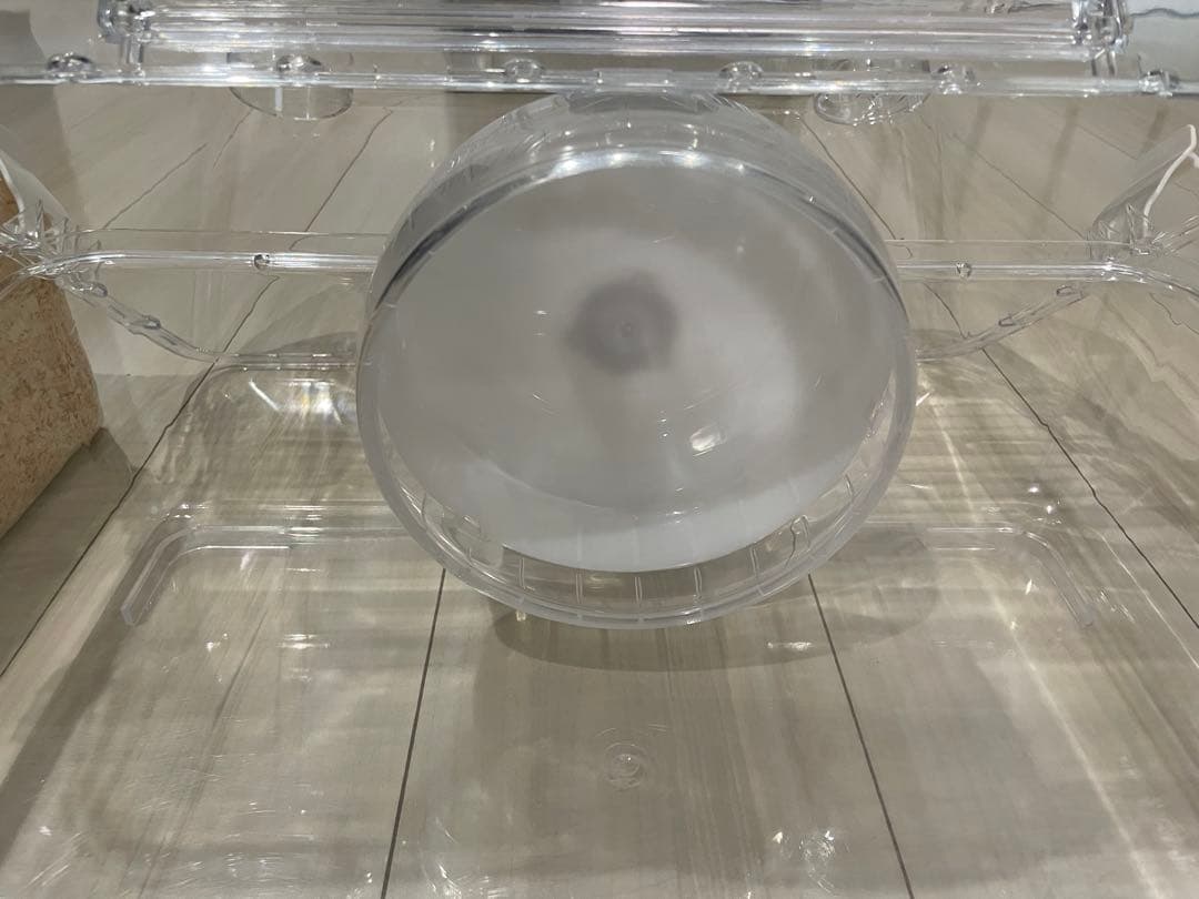 ハムスター　飼育セット　ケージ