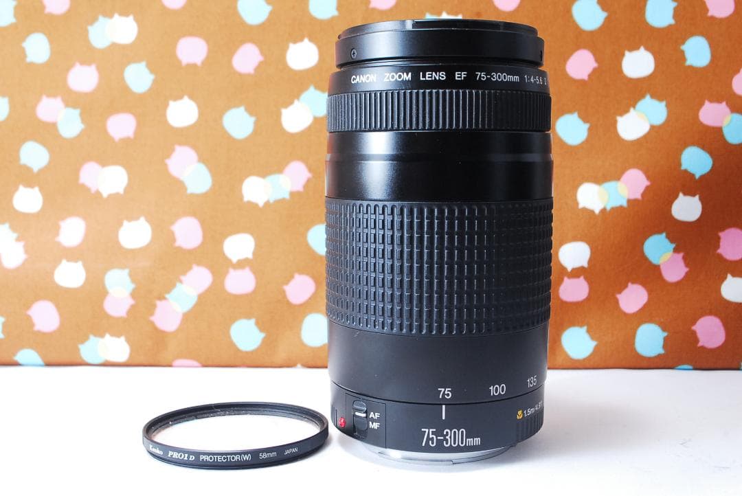 ✨大人気望遠レンズ✨Canon EF 75-300mm F4-5.6 Ⅱ