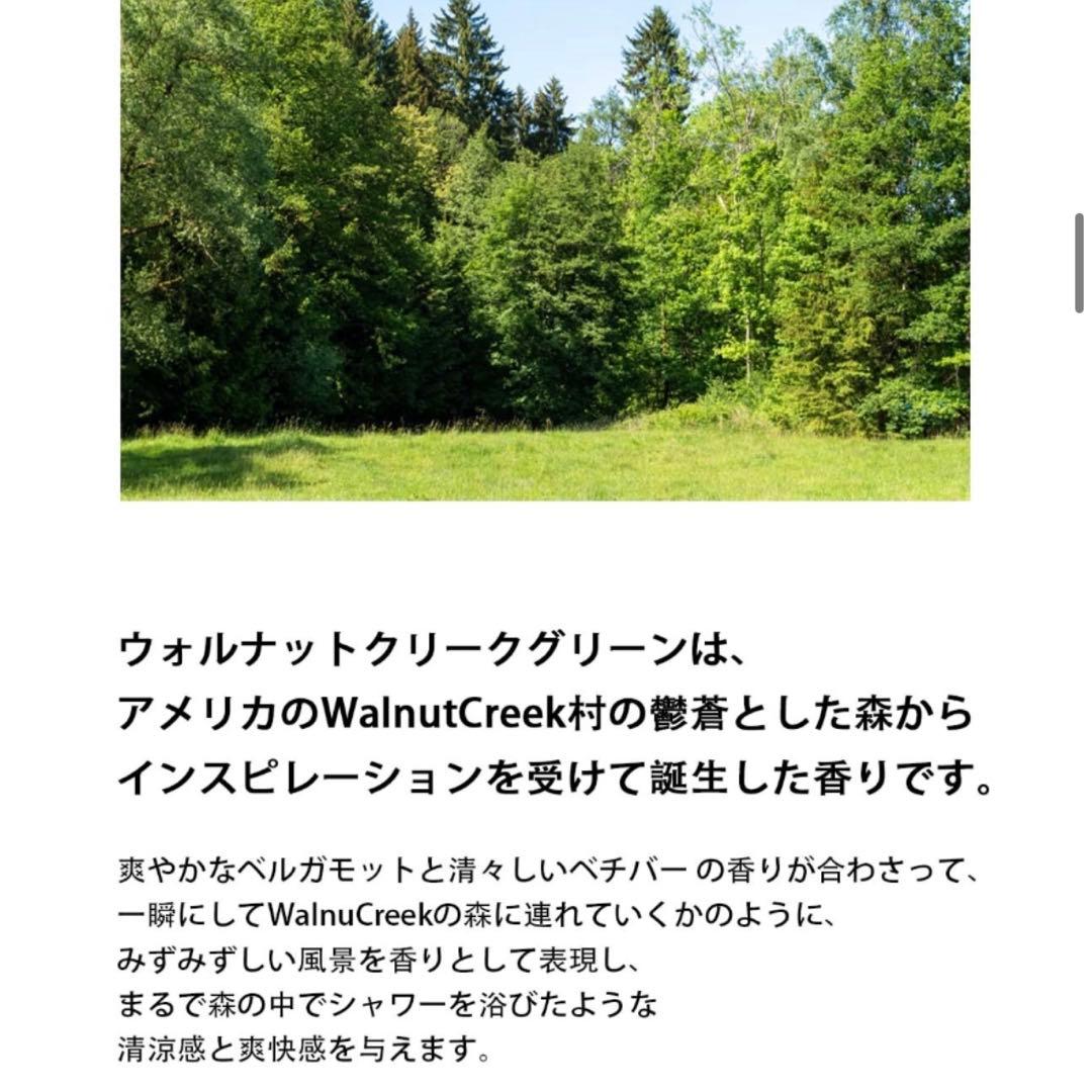 【新品同様】BiBiANG Walnut Creek Green 香水 50ml