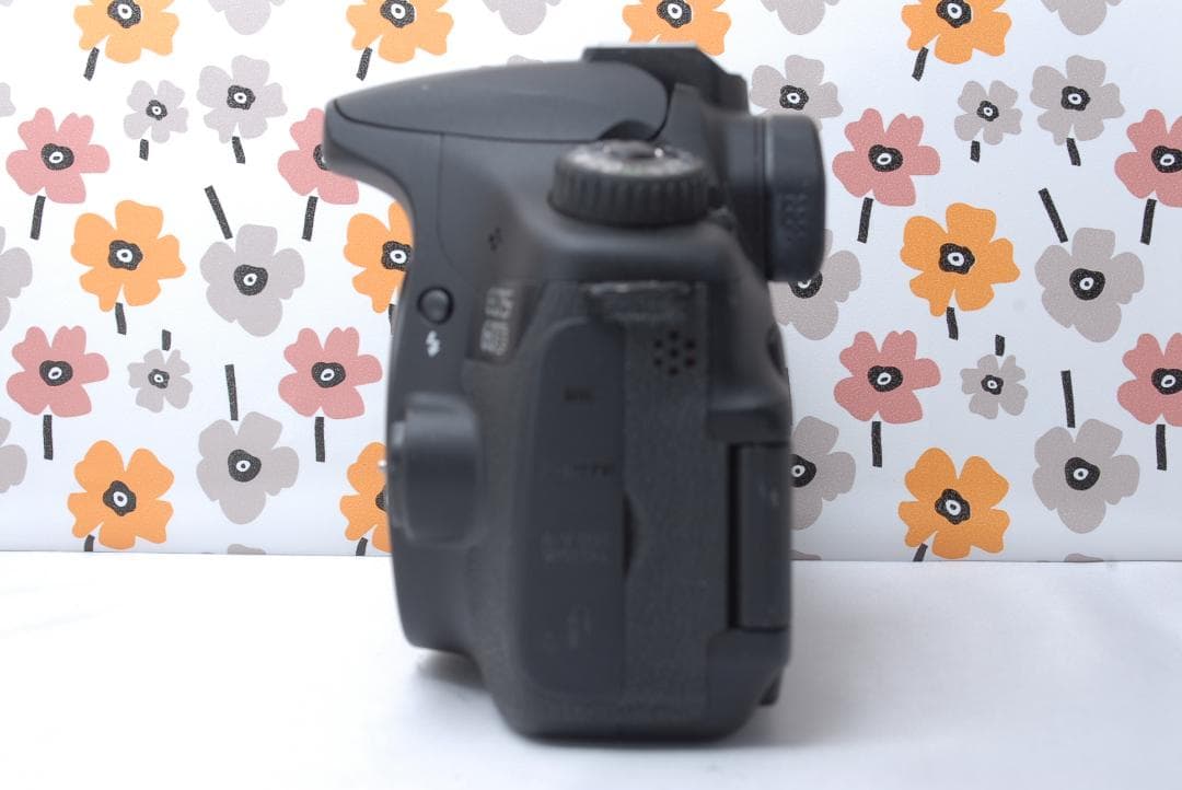 ❤Canon EOS 60D❤S数808回！❤望遠レンズ❤スマホ転送OK❤美品❤