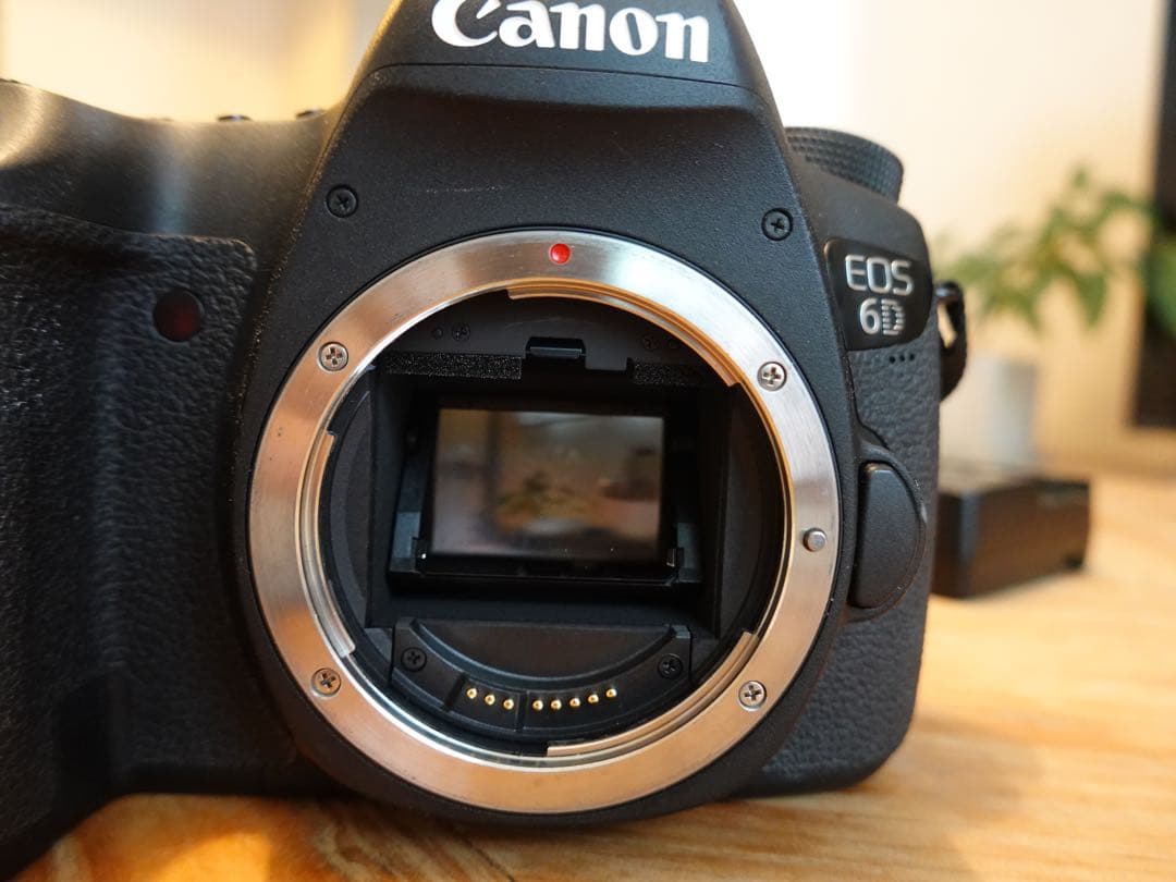 Canon EOS 6D デジタル一眼カメラ　ストロボ+純正レンズ50mm付き
