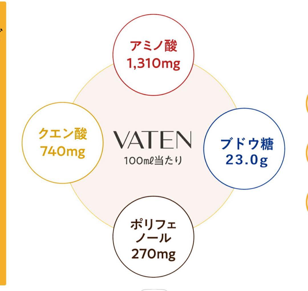 無添加VATEN ノンカフェイン 100ml×10本入り x2箱