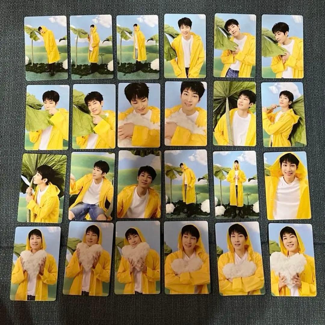 ウォヌ　SEVENTEEN トレカ　まとめ売り