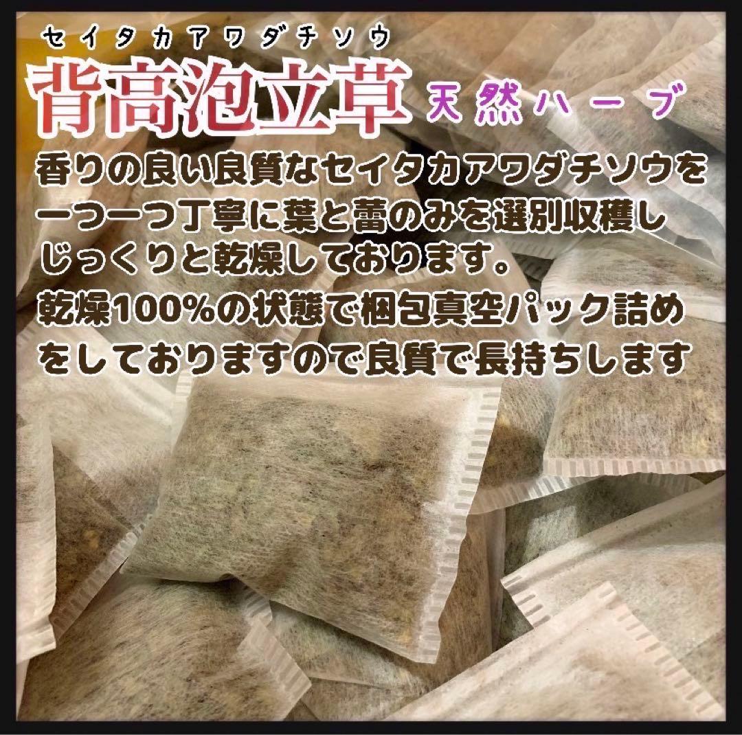【天然ハーブ】背高泡立草　セイタカアワダチソウ1kg 個包装80個前後　良質