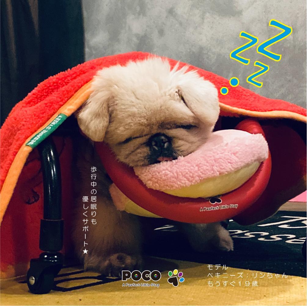 【先着５名様限定価格】愛犬４輪歩行器【サイズ調整可】介護・リハビリetc...