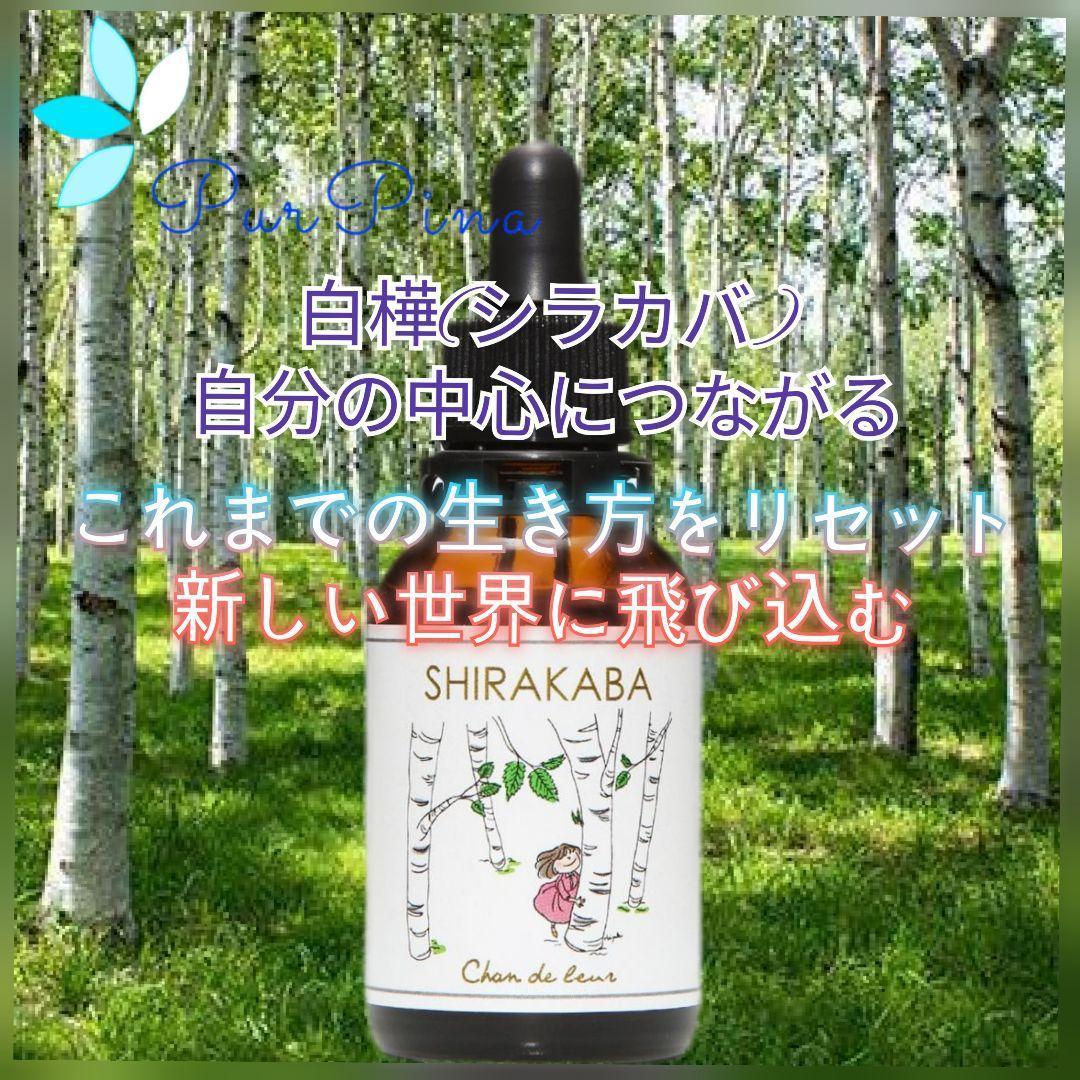 【専用】ベビーブルーアイズ(30ml) 　FES フラワーエッセンス　他