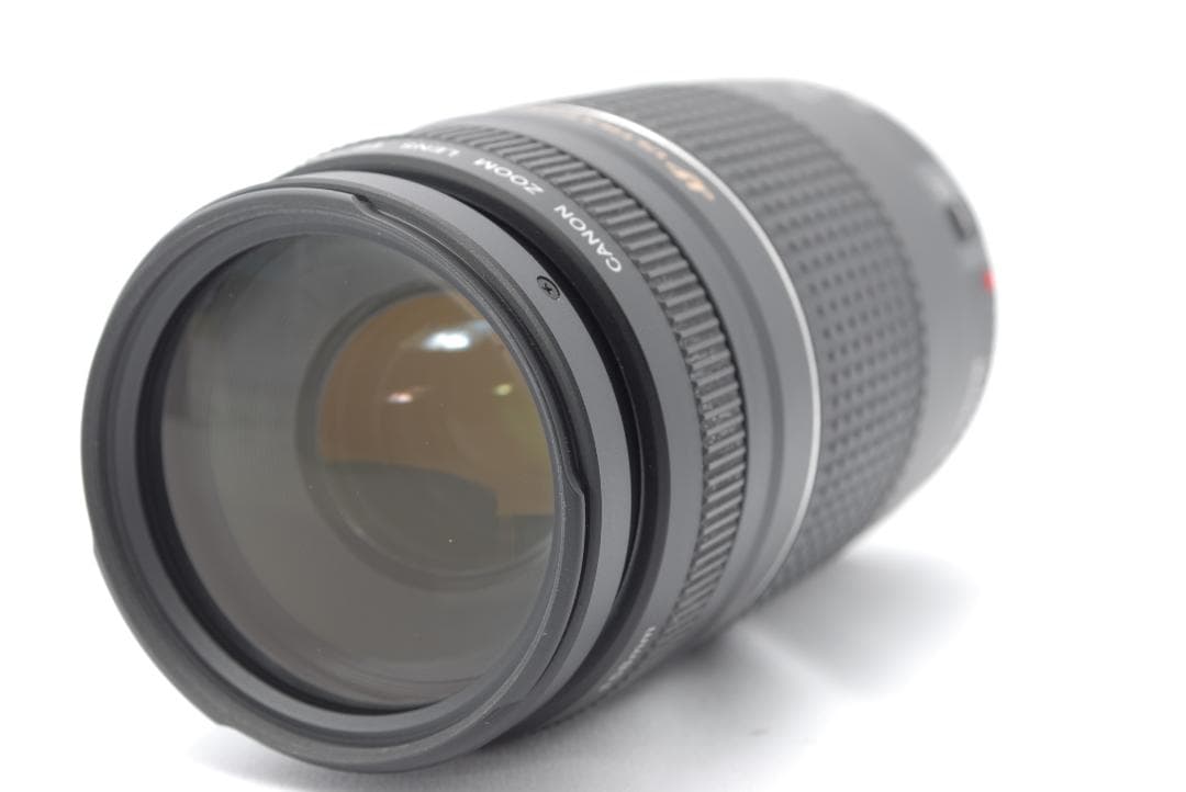 ✨超望遠✨Canon EF75-300mm USM✨美品✨大特価✨フルサイズ✨