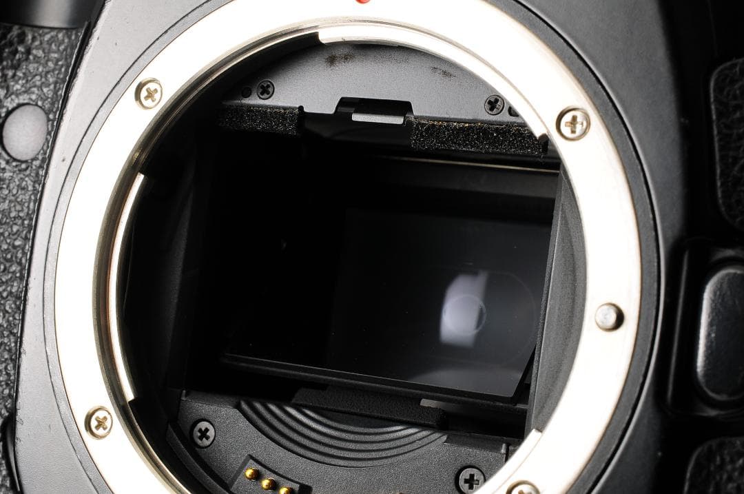 キャノン Canon EOS-1V PB-E2