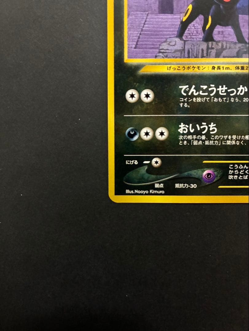 ポケモンカード ブラッキー 旧裏 プレミアムファイル2