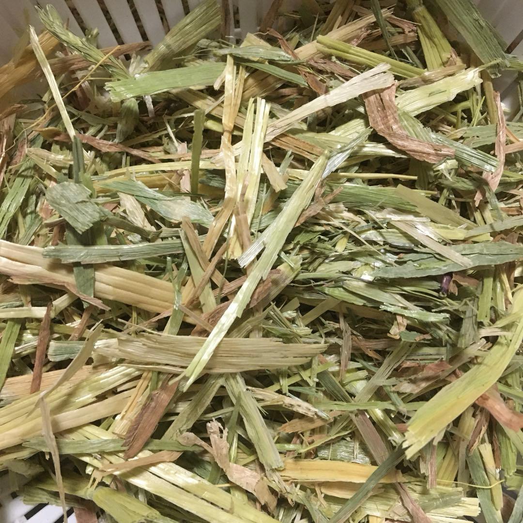 no.no.。牧草1式