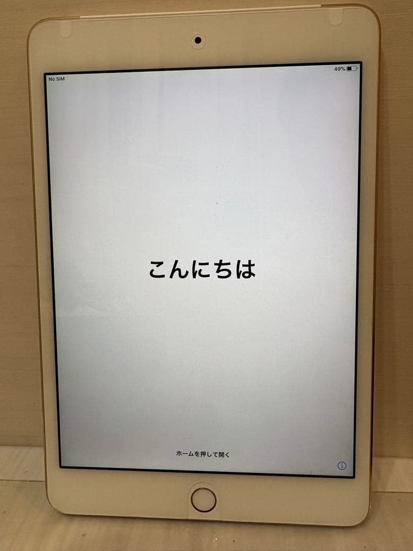 iPad本体 Apple iPad mini 4 16GB MODEL A1550