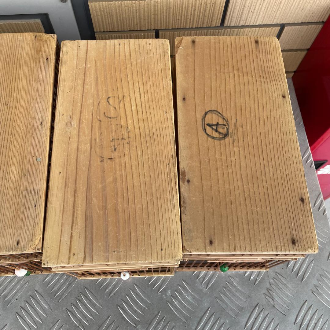 鳥かご（中）　木製　4個セット