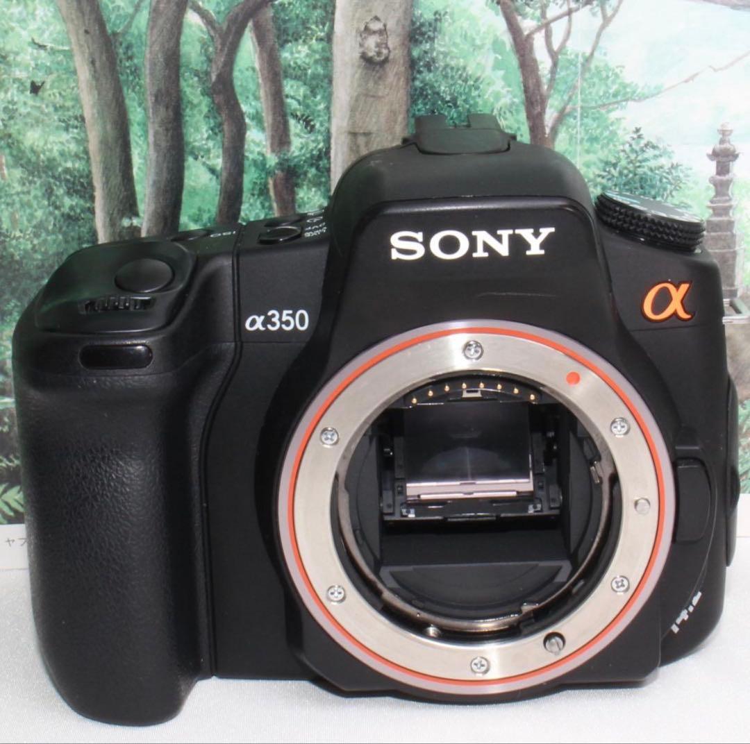 ソニー DSLR-A350 ダブルズーム