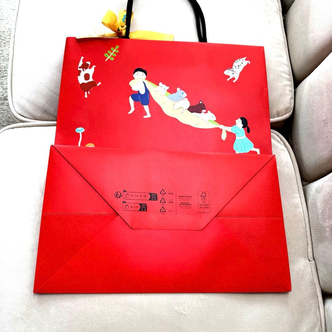 ☆お値下げ☆【LOEWE ロエベ】ギフトバッグ☆ショッパー専用ボックス6点セット