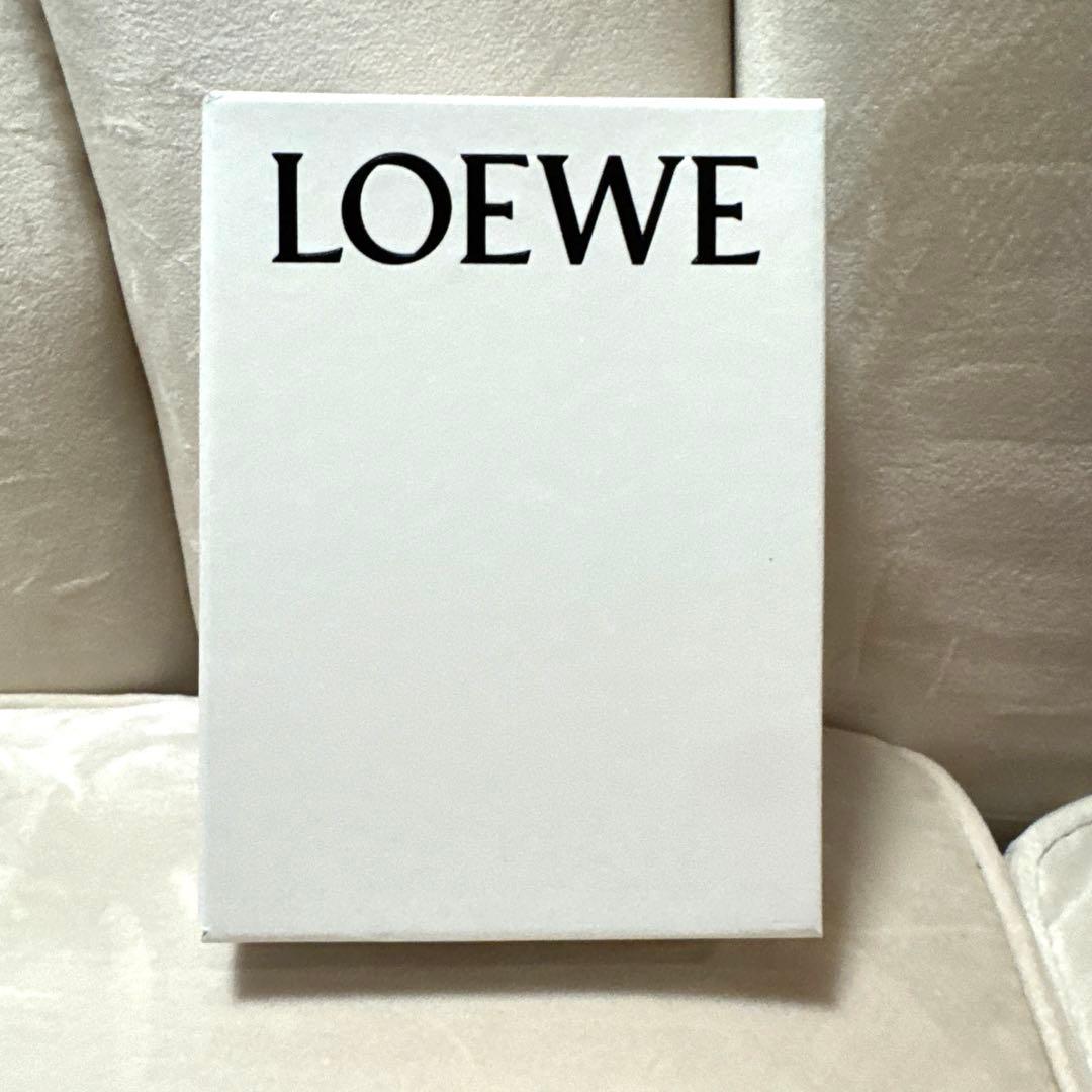 ☆お値下げ☆【LOEWE ロエベ】ギフトバッグ☆ショッパー専用ボックス6点セット