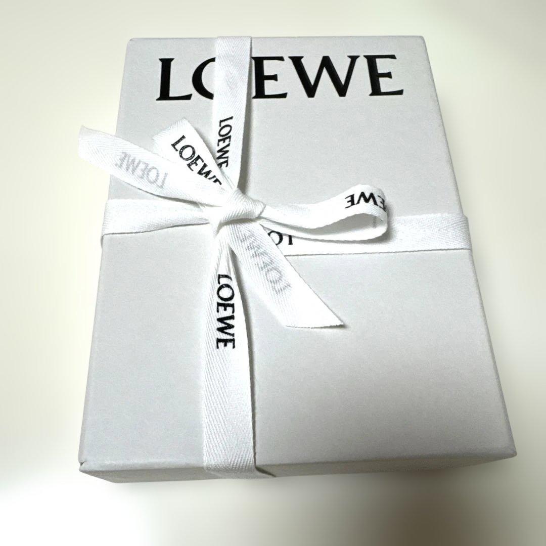 ☆お値下げ☆【LOEWE ロエベ】ギフトバッグ☆ショッパー専用ボックス6点セット