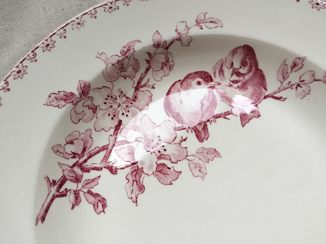 アンティーク　フランス　サルグミンヌ　Favori　赤い花と鳥　陶磁　深皿　美品